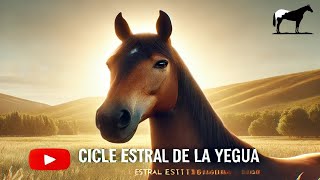 ¿Cómo Saber Si Mi Yegua Esta En Celo? 🐴-Del Cerro Soy