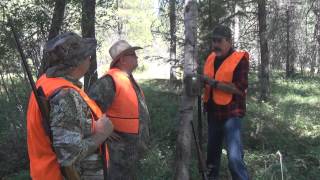 Game Camera Trailer