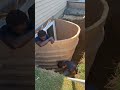 Le Claire, IA Egress Window Replacement