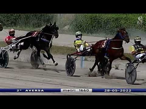 Aversa trotto 28 Maggio 2022 - 2° Corsa