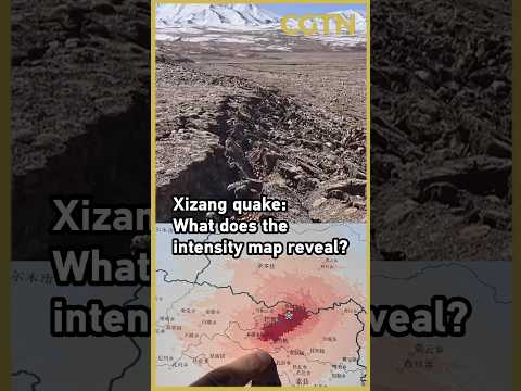How can a seismic intensity map help after Xizang quake?