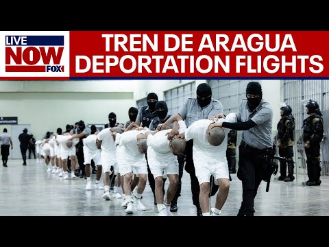 Video | Border crisis: Trump admin deports Venezuelan migrants to El Salvador | LiveNOW from FOX