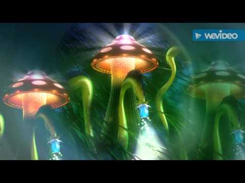 Ayahuasca icaros sanken sani