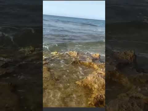 "Feeling rugged and serene as I explore this mesmerizing rock sea beach.🌊🌊
