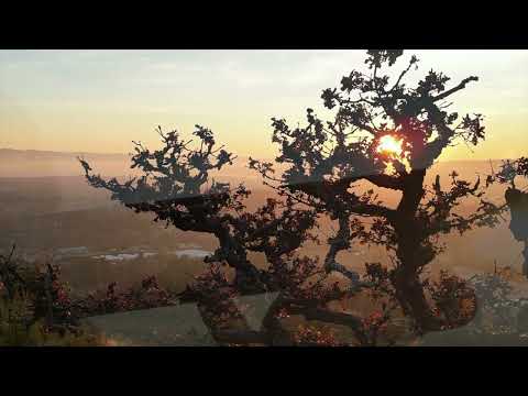 Journey of Love - Calum Graham