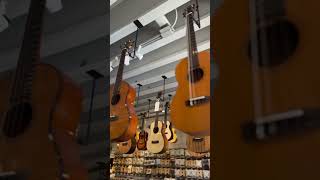 Download lagu WHERE CAN I GET AN 'UKULELE IN HAWAII?? mp3