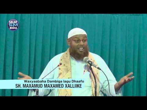 Waxyaabaha Dunuubta lagu Dhaafo || Sh Maxamud Maxamed Xalike