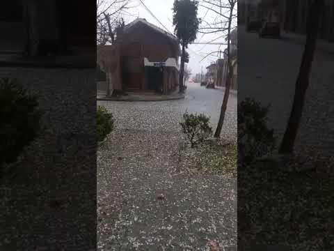 GRANIZO EN MARCOS JUAREZ. #meteorologia #lluvia #tormenta #granizo #cordoba #argentina #shorts