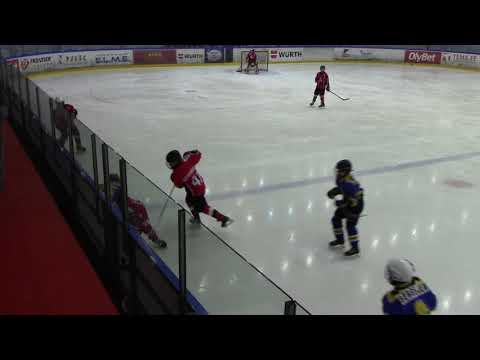 Narva PSK E 3  6 HC Vipers E