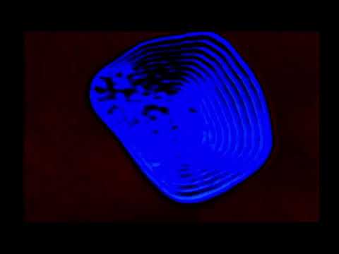 FOQL - 𝕋𝕒𝕜𝕖 𝕒 𝕕𝕖𝕖𝕡 𝕓𝕣𝕖𝕒𝕥𝕙 𝕒𝕟𝕕 𝕕𝕚𝕧𝕖 𝕚𝕟𝕥𝕠 𝕥𝕙𝕖 𝕓𝕚𝕟 (𝕝𝕠𝕟𝕘 𝕖𝕕𝕚𝕥)