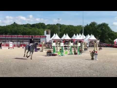 Miebello GP 4* Bourg en Bresse