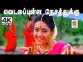 Vidala Pulla Nesathukku Song சுவர்ணலதா பாடிய வெடலப்புள
