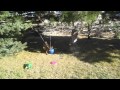 Biff S New Ball Part 1