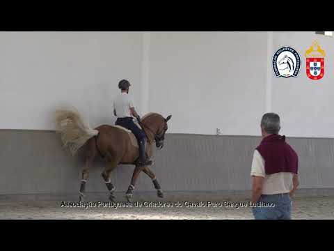 220902 7 Proj Ensino APSL&FEP - Luis Fernandes com Lavrador