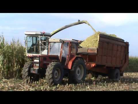 Landb. Coppens - Baarle