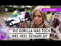 IK HEB M'N BAAN OPGEZEGD DUS IK KAN NU FULLTIME VLOGGEN #4 | Vlogmania | NPO Zapp