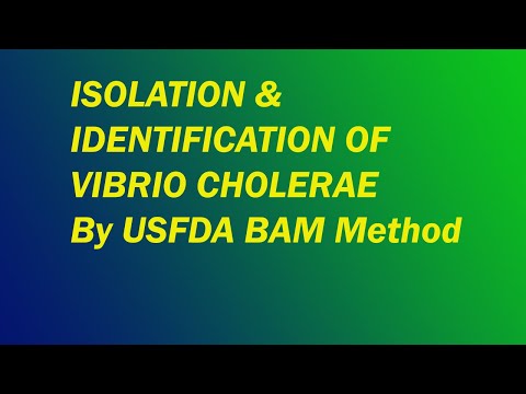 image-What is the 3 2 5 BAM method?