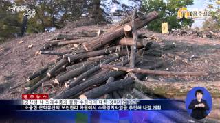 공주 공산성, 외래수종 제거 등 수목정비사업 추진 이미지