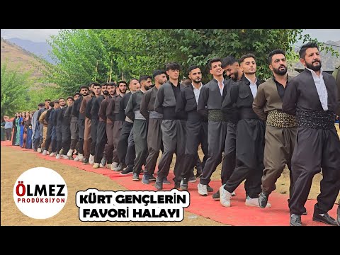 Gençlerin favori halayı Şexani Şiyar Berwari Özgür Evin düğünü