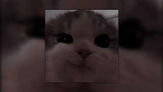 MoKenStef - He's mine (sped up)