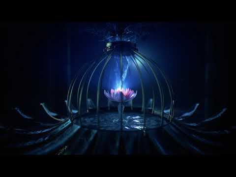 download lagu mp3 mp4 Tomorrowland 2019 Datum, download lagu Tomorrowland 2019 Datum gratis, unduh video klip Download Tomorrowland 2019 Datum Mp3 dan Mp4 Full Gratis