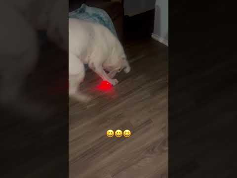 26 de octubre de 2025