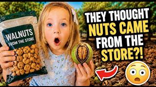 Where Do Nuts Come From? (Kids React!)