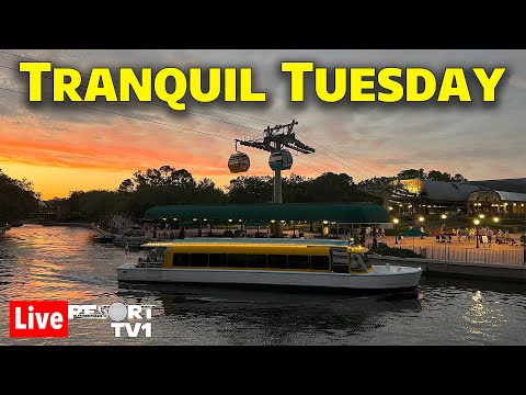 🔴Live: Tranquil Tuesday - An Evening of Disney Skyliner & Friendship Boats  - Walt Disney World