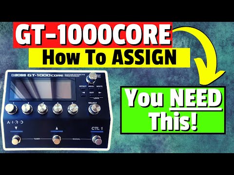 Boss GT-1000Core Assigns In Boss Tone Studio