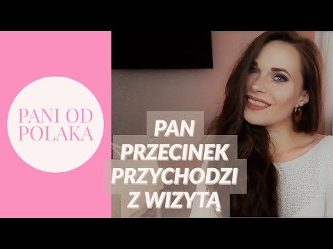 Pan przecinek przychodzi z wizytą - o interpunkcji w zdaniach pojedynczych
