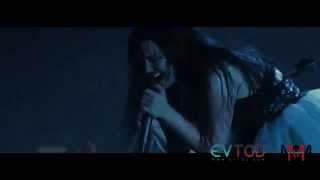 Evanescence - Disappear (FanCam Live in Concert)
