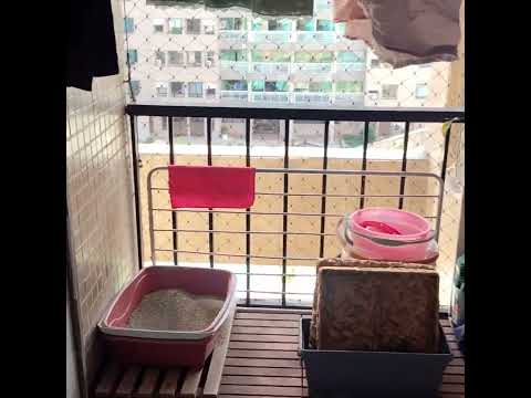 Apartamento na Barra da Tijuca, 3 Quartos, 1 Suíte, 123 m², Ed Queen Elizabeth