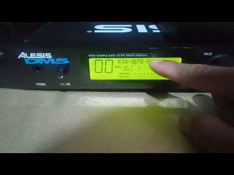 pilih model suara kick alesis dm5