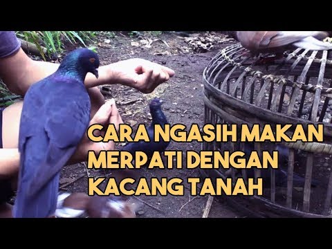 Pil meningkatkan ulasan potensi Solusi yang paling efektif untuk impotensi