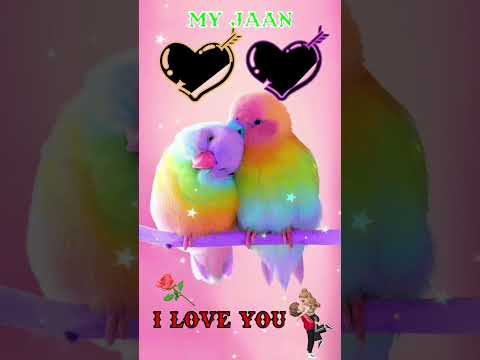 #YS letter love couple name status || Love whatsapp status || YS love song status || #shorts #status