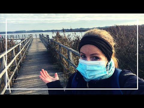 Federsee | Wackelwald in Bad Buchau - Ausflugsziele Baden-Württemberg