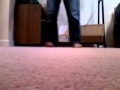 Barney In Concert Play Along Chicken Dance Foot Shuffle