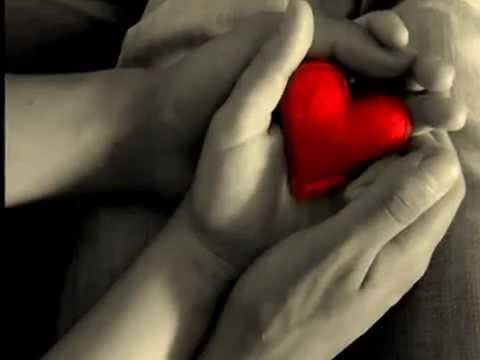 Гарик Оганян feat Ashim- Ты моя навеки -mp4