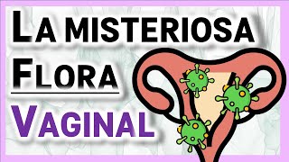 BACTERIAS en la Vagina | CarboVirus R