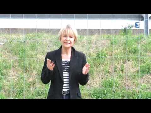 S&acirc;mbăta Neagră, o zi cumplită pentru francezi! 53 de morţi, dintre care 46 COPII