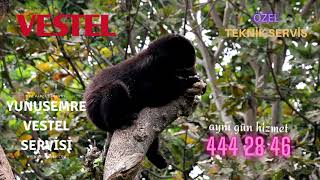 Yunusemre Vestel Servisi 444 28 46