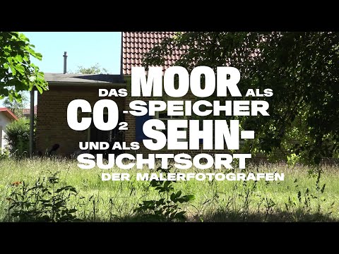 Hans Joosten: Das Moor als CO2-Speicher und Sehnsuchtsort der Malerfotografen (Mining Photography)