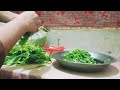 Palak Cutting Velog