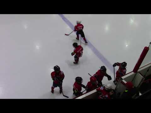 HC Vipers G RED – HC Panter G   1:5 (1:3 ; 0:2)  19.03.2018