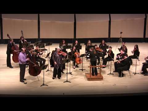U of Iowa Chamber Orchestra: Dittersdorf, Sinfonia Concertante in D Major, I. Allegro