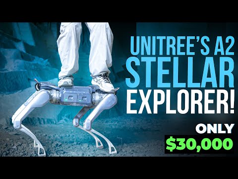 Why the Unitree A2 Might Be the Most Extreme Robot Ever!