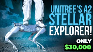 Why the Unitree A2 Might Be the Most Extreme Robot Ever!