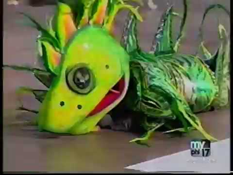 2009- Animals of the Rainforest