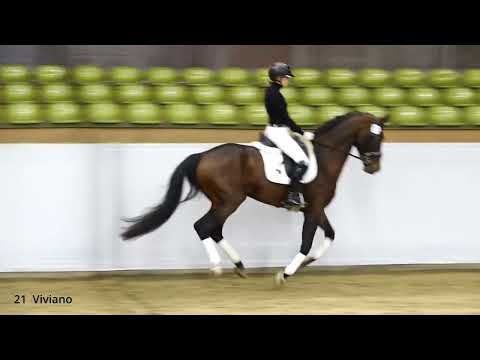 Präsentation 19.10.24 - KN 21 Viviano v. Vitalis - Dancier