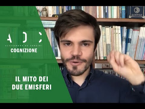 Brain: the myth of the two hemispheres